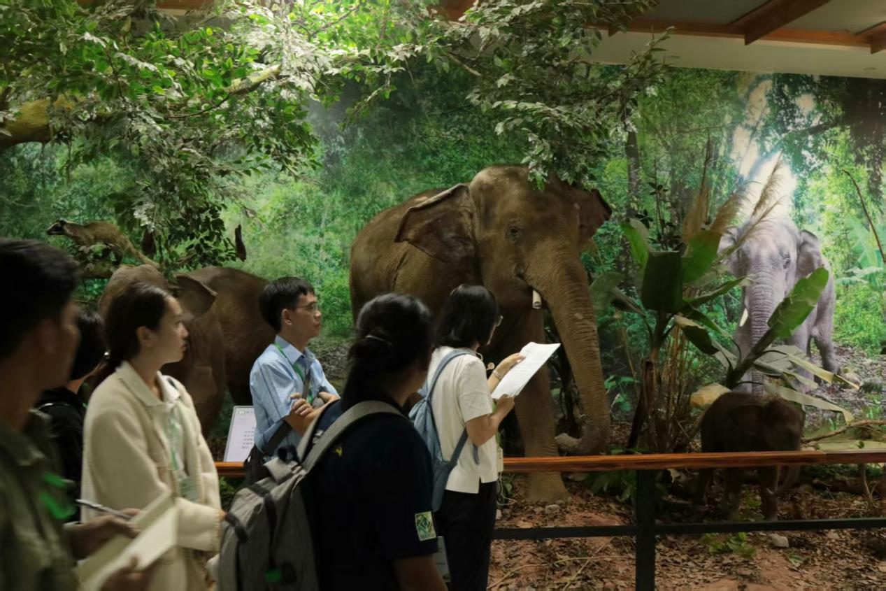 微信图片_20250911200517_30_18